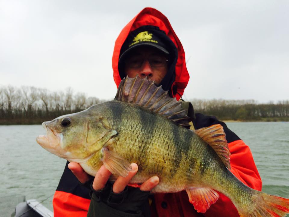 Andy&rsquo;s 4lb 14oz Perch